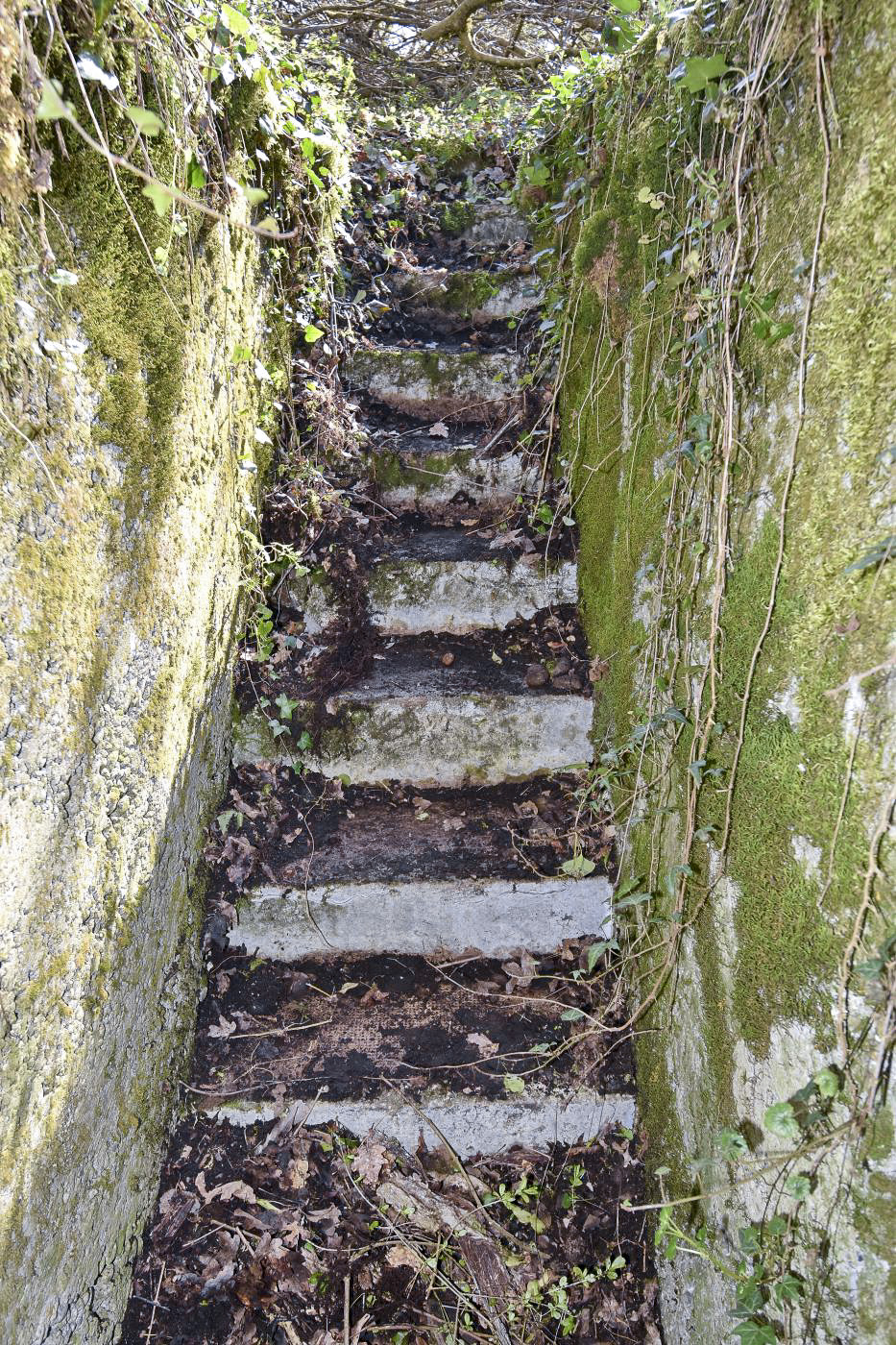 Ligne Maginot - RADBRUNNEN 1 - (Blockhaus pour arme infanterie) - L'escalier d'entrée du blockhaus.
