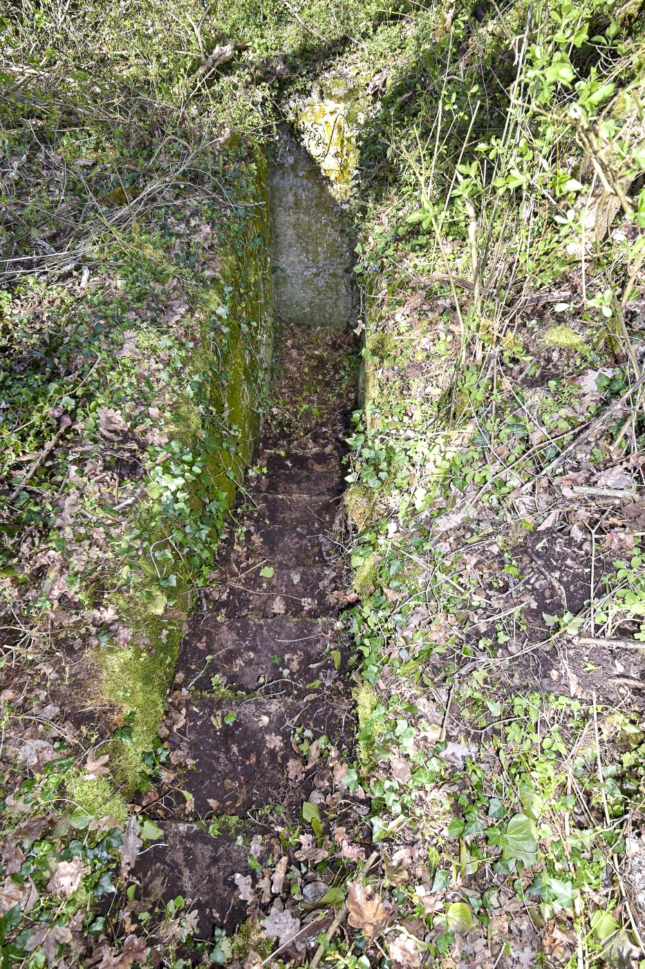 Ligne Maginot - RADBRUNNEN 1 - (Blockhaus pour arme infanterie) - Entrée du blockhaus.
Insigne du 2°BCP au fond