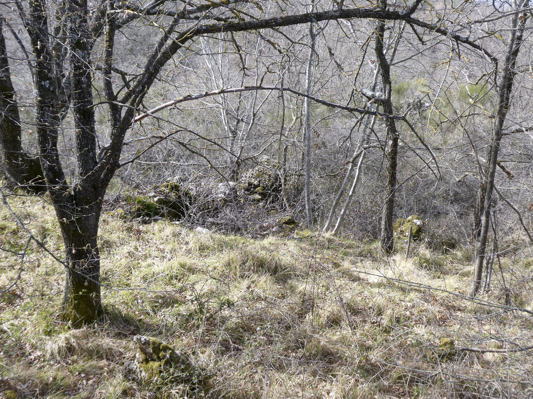 Ligne Maginot - COL DE SEGRA CENTRE 2 - (Abri) - 