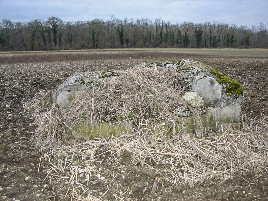 Ligne Maginot - PA PETIT-LANDAU 3 - (Blockhaus pour arme infanterie) - La coupole explosée par les allemands durant l'hiver 1944-45 a été comblée par les débris