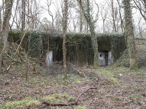 Ligne Maginot - SCHLIERBACH (10° RIF - PC DE GUERRE) - (PC de Sous-Secteur) - Vue extérieure