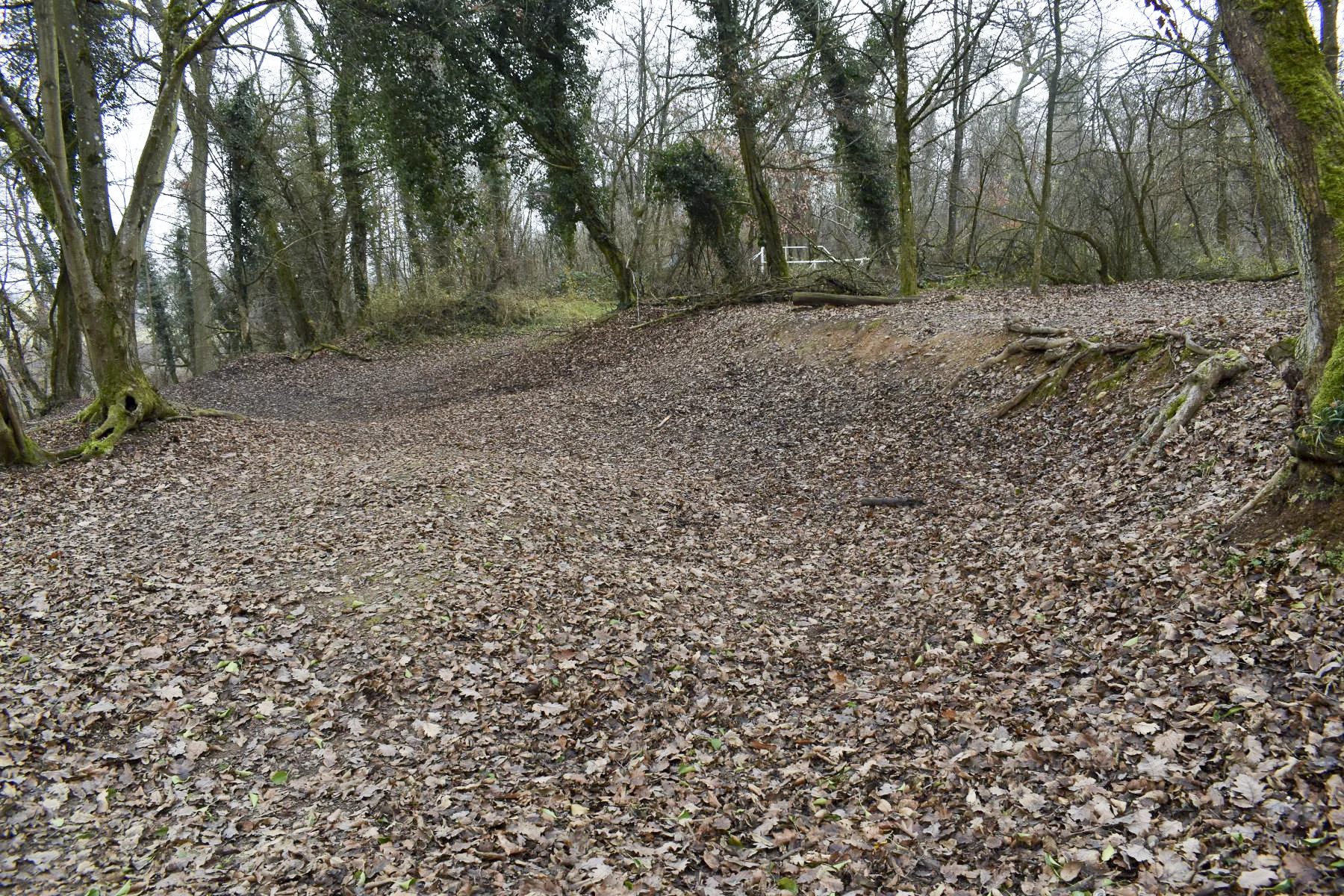 Ligne Maginot - T3 - 150T - (Position d'artillerie préparée) - Vue de l'emplacement.
Le déblaiement pour la batterie est bien visible