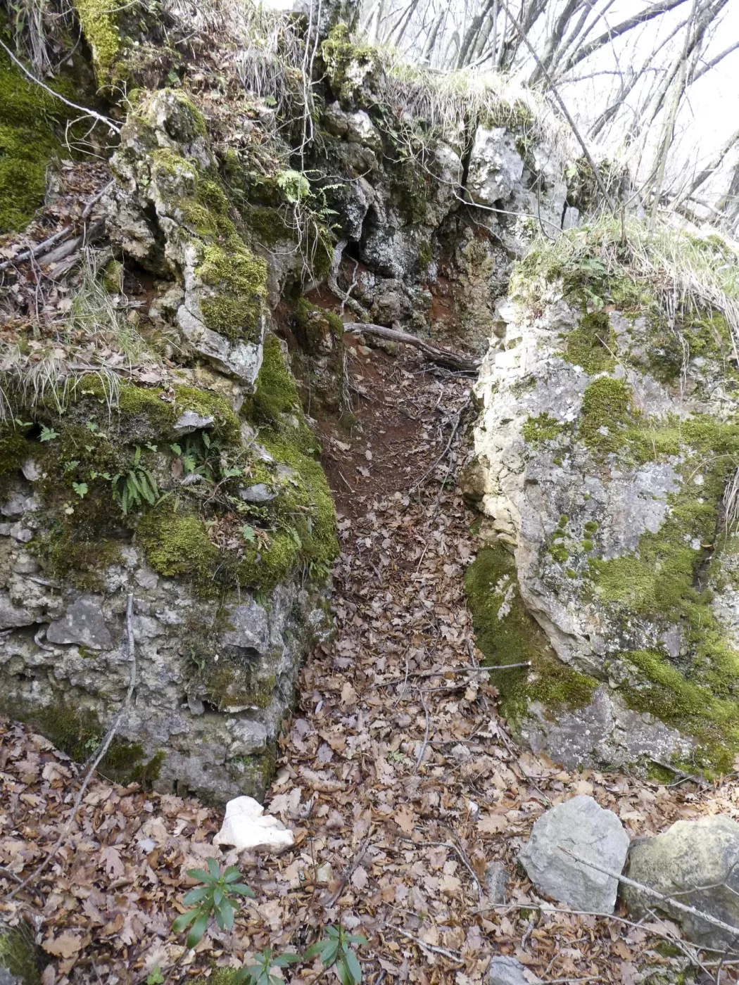 Ligne Maginot - COL DE SEGRA SUD-EST 2 - (Blockhaus pour arme infanterie) - Blockhaus en construction