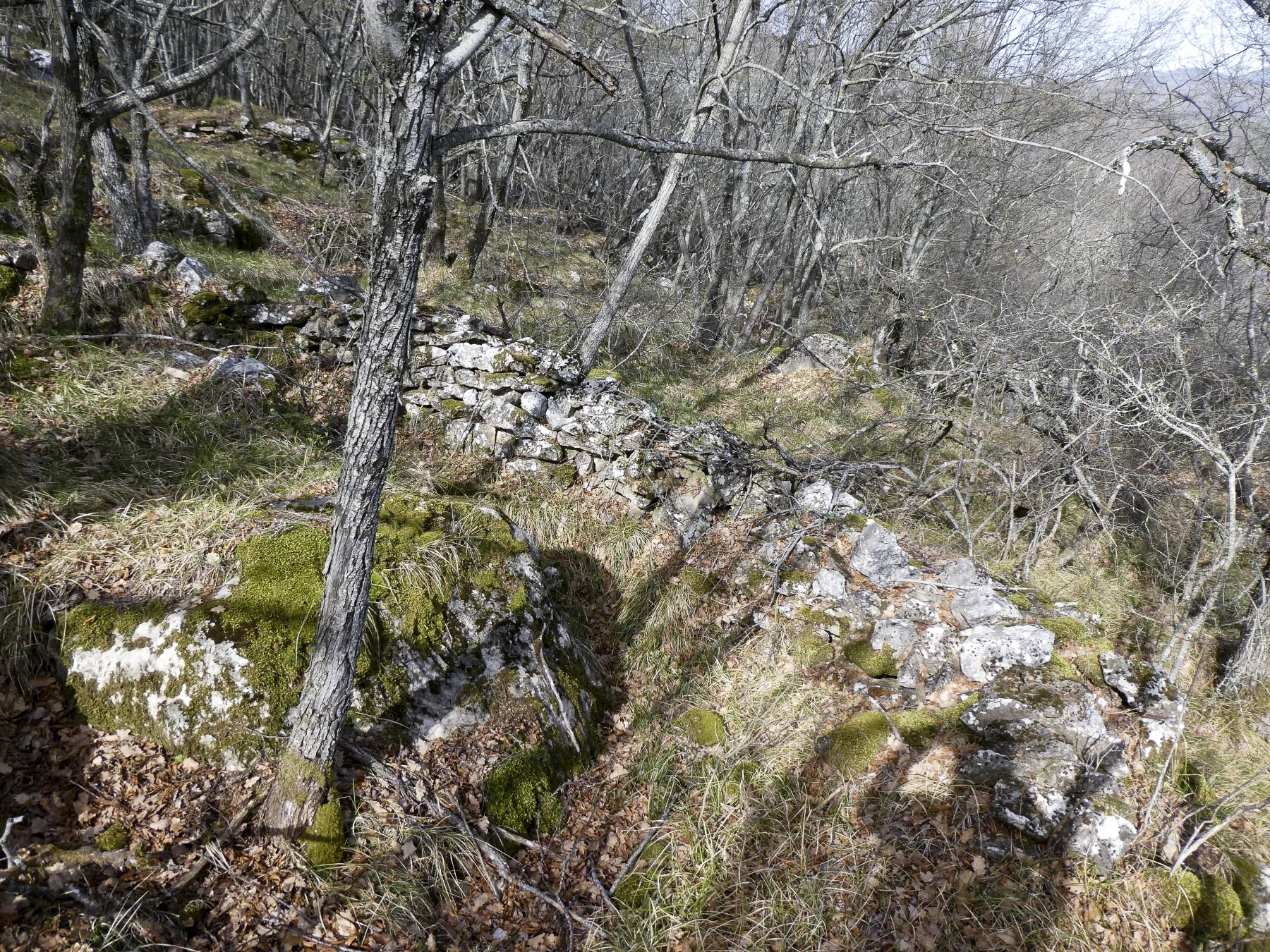 Ligne Maginot - COL DE SEGRA SUD-EST 2 - (Blockhaus pour arme infanterie) - Environnement