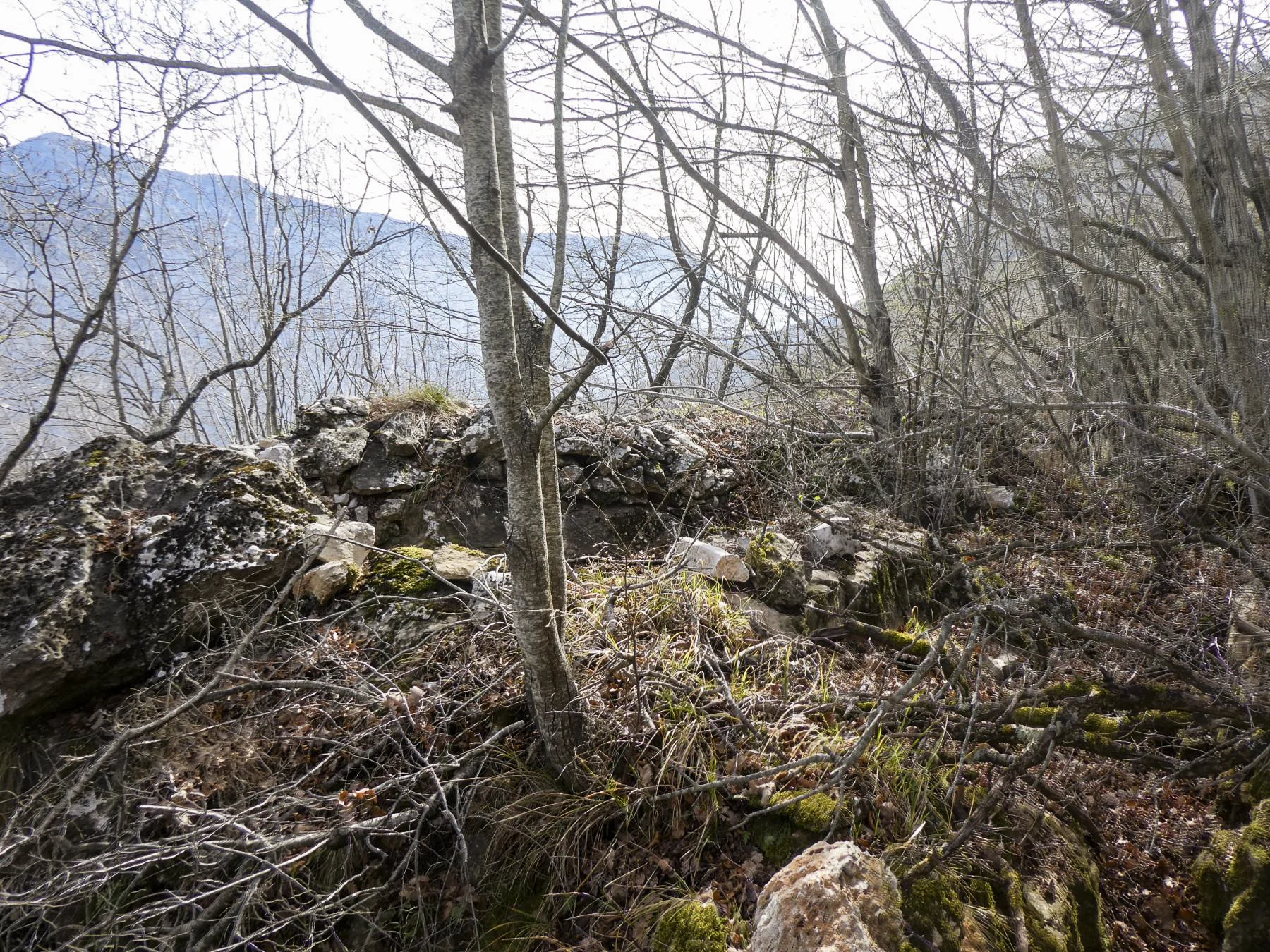 Ligne Maginot - COL DE SEGRA SUD-EST 2 - (Blockhaus pour arme infanterie) - Environnement