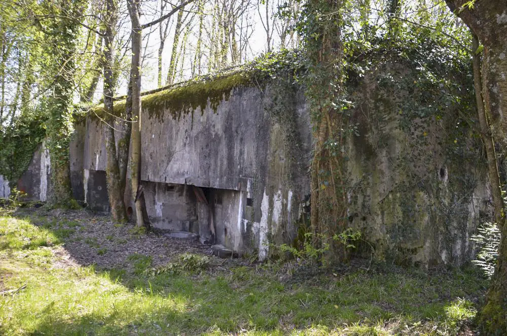 Ligne Maginot - 89 - TAPFELBAUM - (Casemate d'infanterie - Double) - Créneau de tir Nord-est