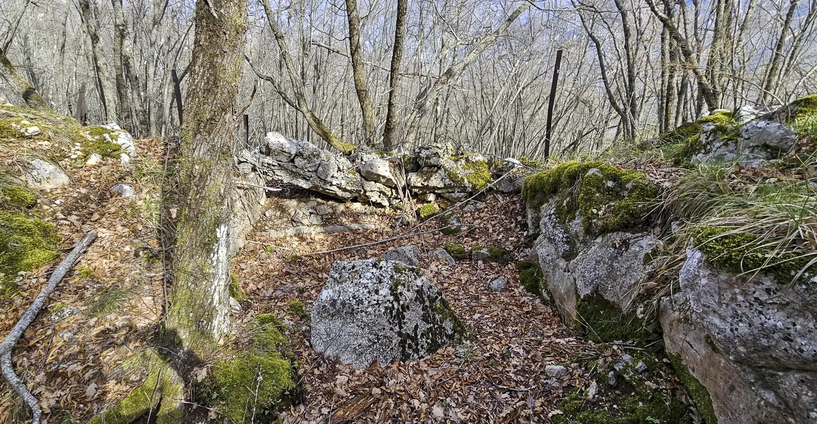 Ligne Maginot - COL DE SEGRA SUD-EST 2 - (Blockhaus pour arme infanterie) - Cuve pour arme d'infanterie