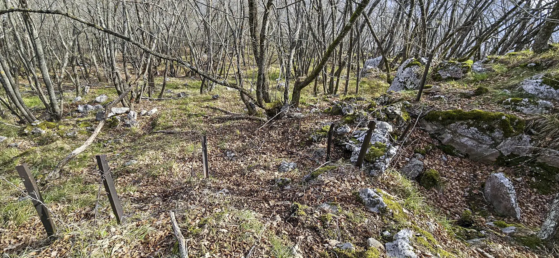 Ligne Maginot - COL DE SEGRA SUD-EST 2 - (Blockhaus pour arme infanterie) - Cuve pour arme d'infanterie