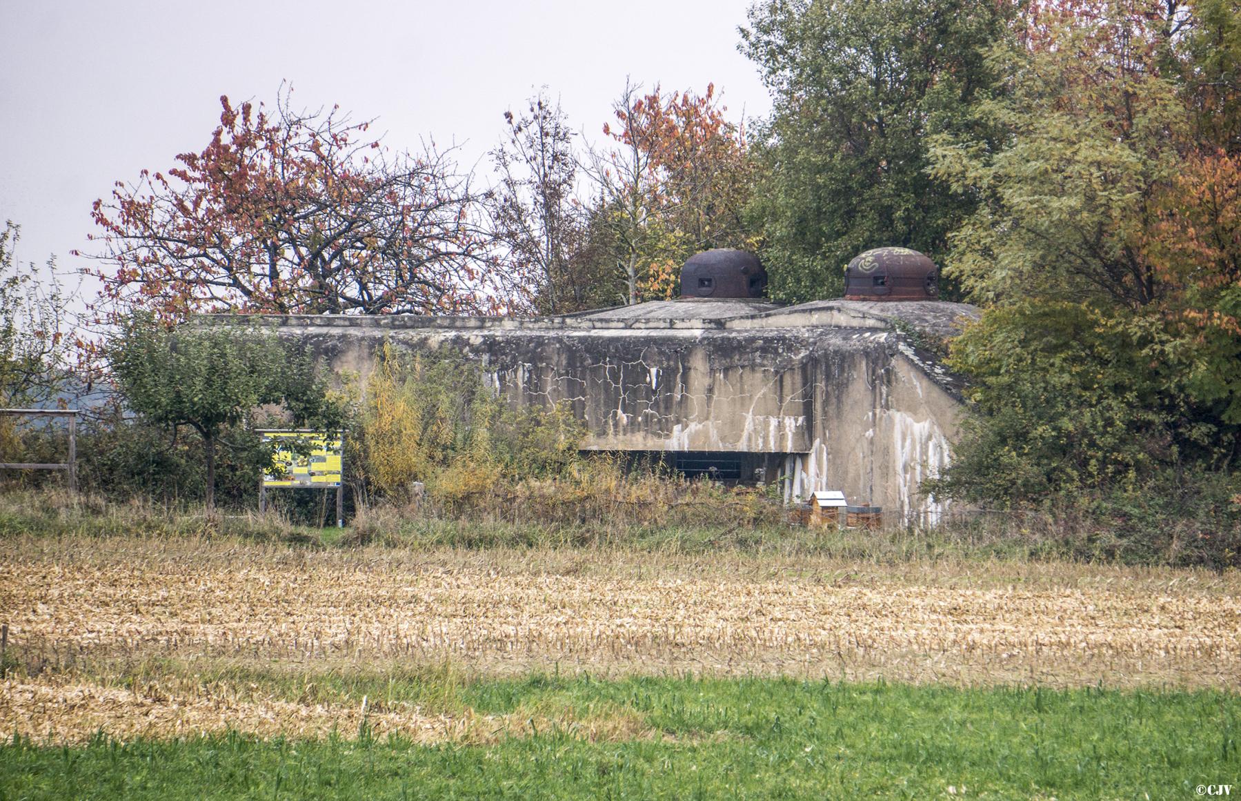 Ligne Maginot - 95 - COTE 445 - (Casemate d'infanterie - Double) - 