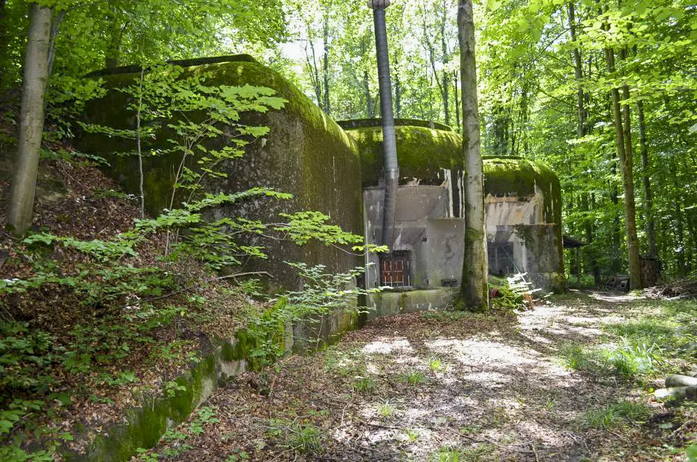 Ligne Maginot - 104 - BREITENHAG - (Casemate d'artillerie) - Vue d'ensemble coté embrasures.