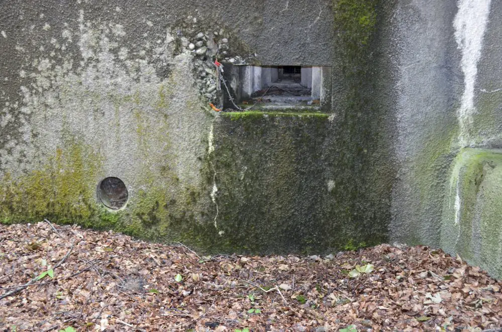 Ligne Maginot - 104 - BREITENHAG - (Casemate d'artillerie) - Créneau FM.