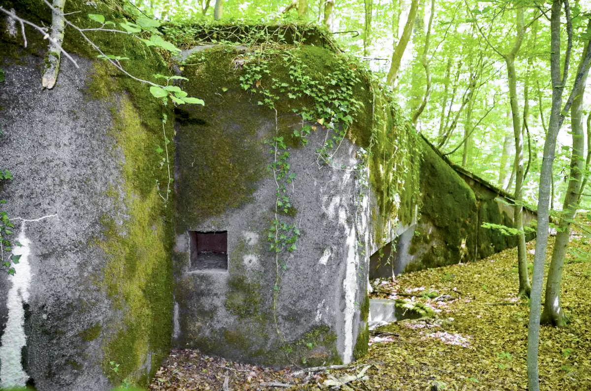 Ligne Maginot - 107 - CESARHOF SUD - (Casemate d'infanterie - Double) - Façade sud