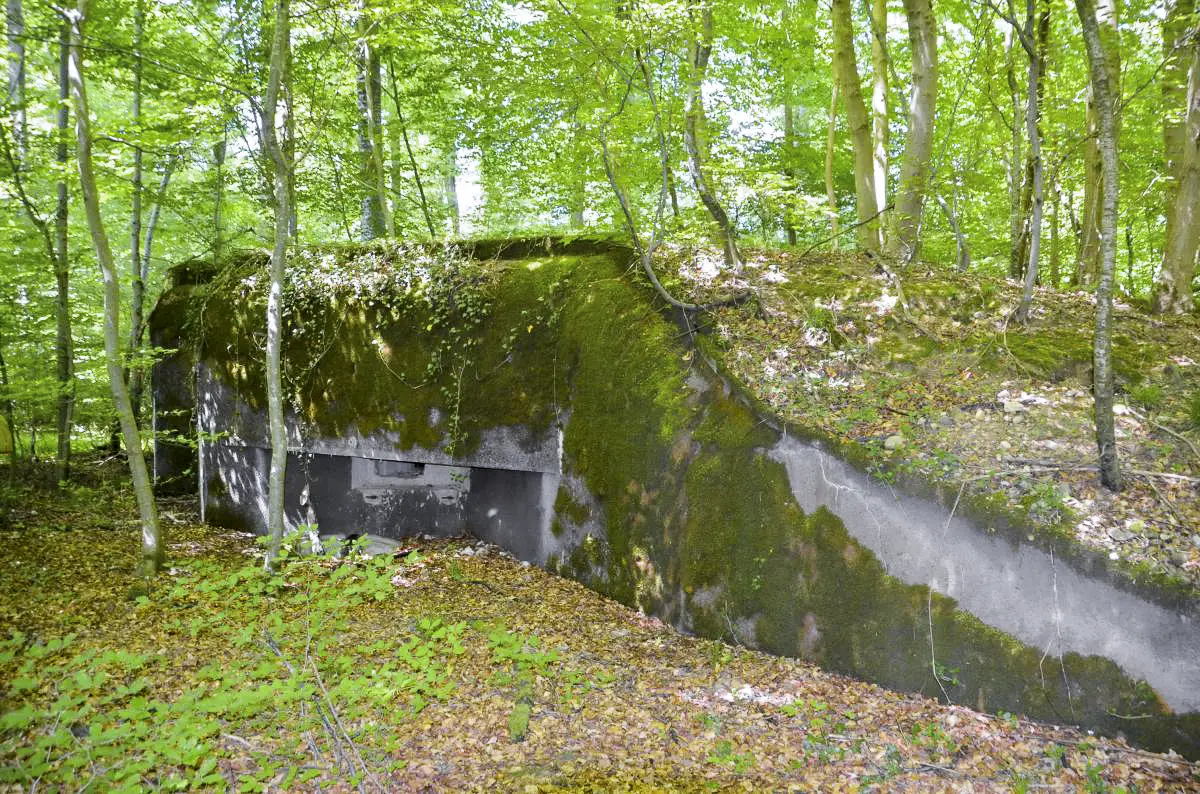 Ligne Maginot - 107 - CESARHOF SUD - (Casemate d'infanterie - Double) - Façade sud