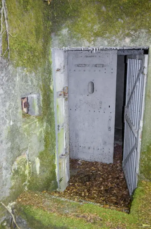 Ligne Maginot - 107 - CESARHOF SUD - (Casemate d'infanterie - Double) - Vue sur la grille d'entrée et la porte blindée.
Le créneau de tir pour FM à gauche de l'escalier