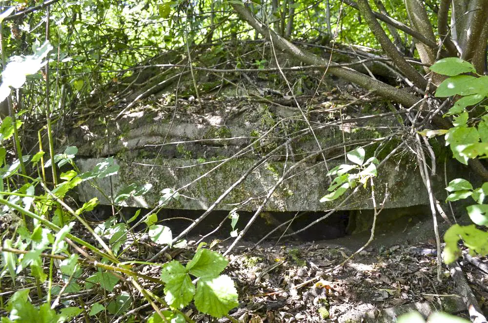 Ligne Maginot - CESARHOF 1 - (Blockhaus pour arme infanterie) - Coupole