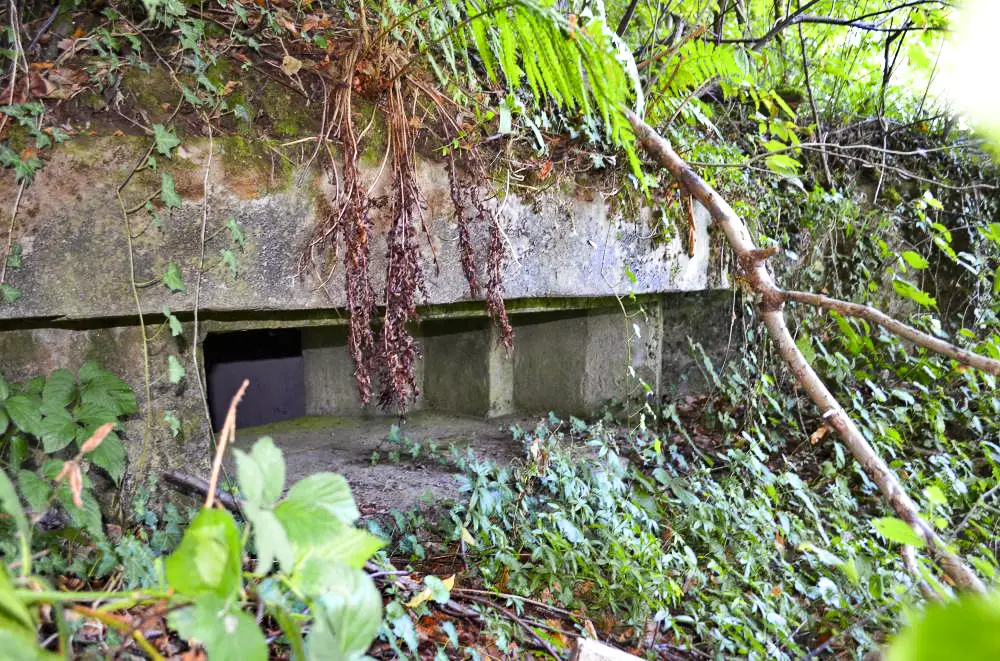 Ligne Maginot - CESARHOF 2 - (Blockhaus pour canon) - Créneau de tir