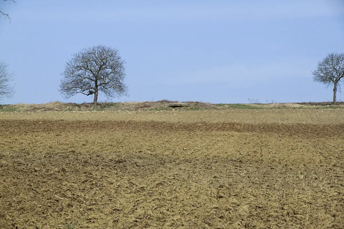 Ligne Maginot - COTE 313 - (Observatoire d'infanterie) - Vue de l'observatoire depuis le point d'appui