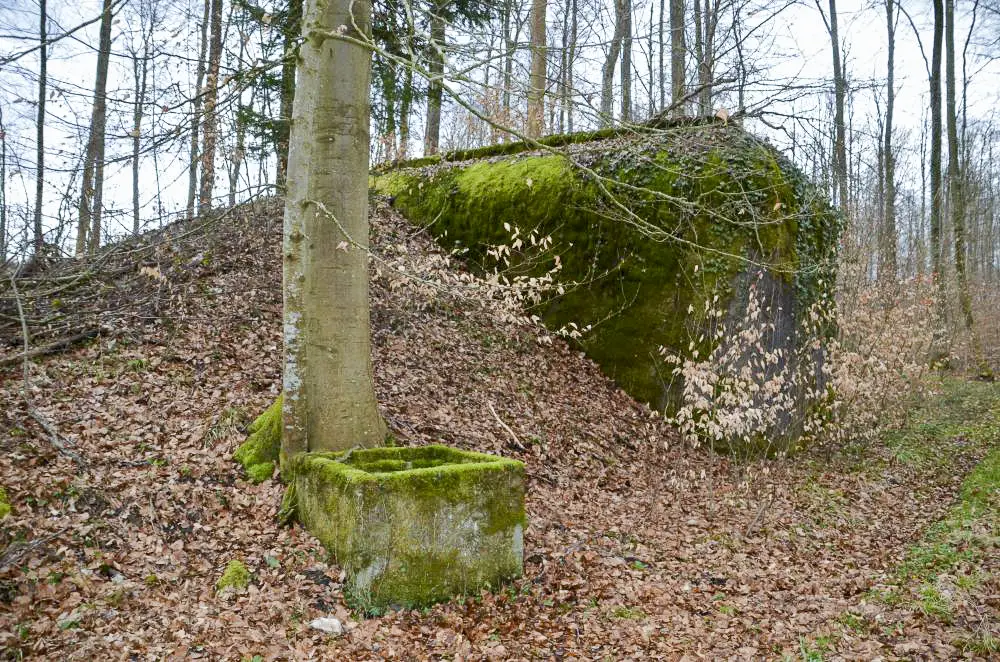 Ligne Maginot - EICHWALD (BATTERIE DE L') - (Position d'artillerie préparée) - Soute à munitions
Vue extérieur avec le puits.