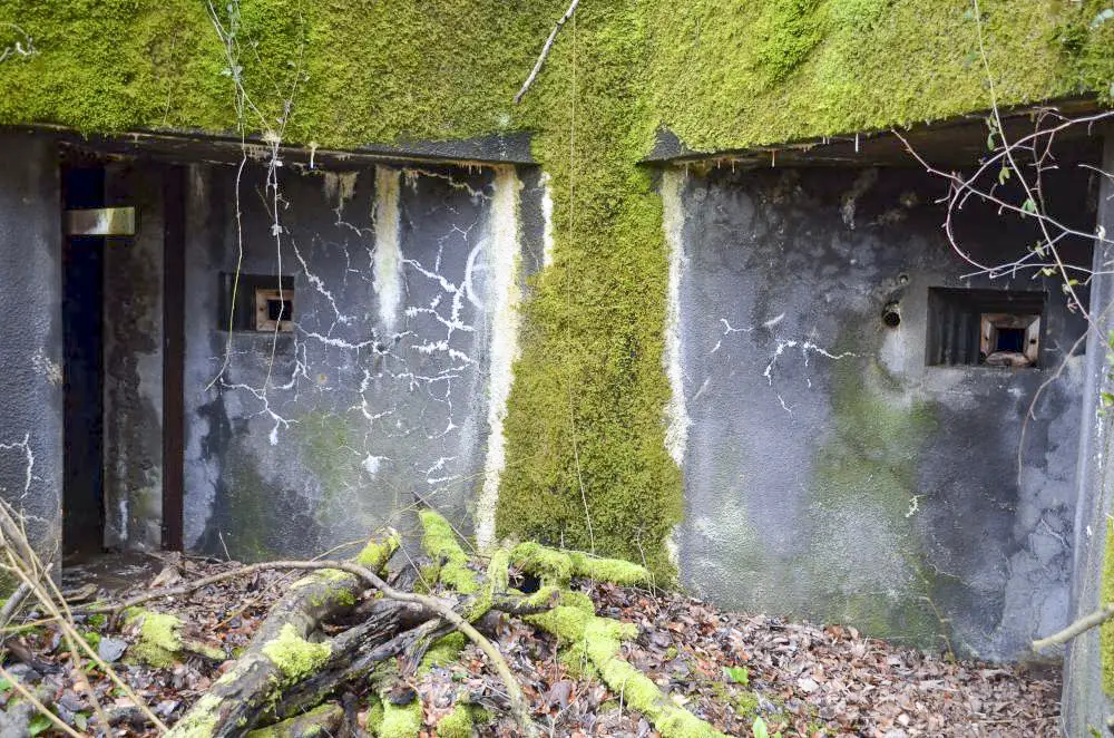 Ligne Maginot - EICHWALD (BATTERIE DE L') - (Position d'artillerie préparée) - PC batterie 1 et 2
Les deux entrées avec leurs créneaux de tir