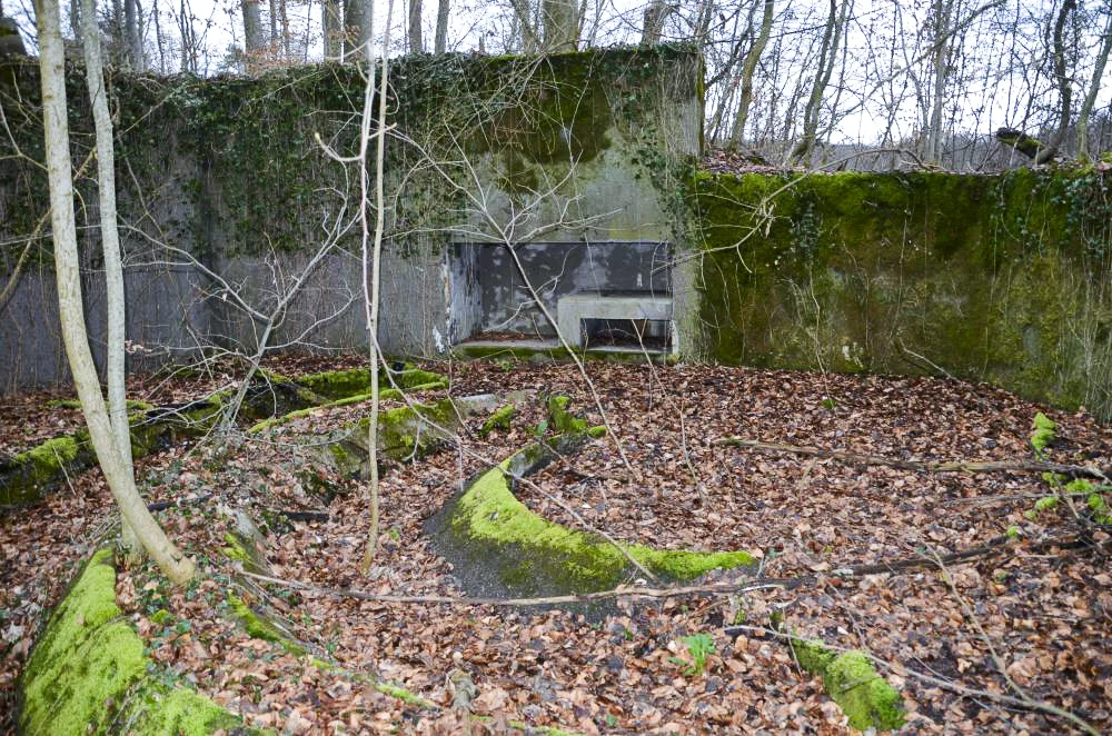 Ligne Maginot - EICHWALD (BATTERIE DE L') - (Position d'artillerie préparée) - Encuvement 2
Intérieur de l'encuvement