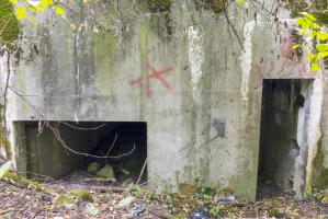 Ligne Maginot - PA DE SIERENTZ OUEST 1 - (Blockhaus pour canon) - 