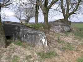 Ligne Maginot - TROIS-MAISONS NORD (OUVRAGE) - (Blockhaus pour canon) - Vue d'ensemble, avec les deux coupoles en premier plan, la cloche de guérite cachée derrière l'arbre, et au fond le blockhaus observatoire indépendant.