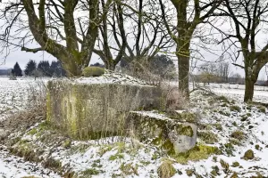 Ligne Maginot - TROIS-MAISONS NORD (OUVRAGE) - (Blockhaus pour canon) - 