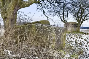 Ligne Maginot - TROIS-MAISONS NORD (OUVRAGE) - (Blockhaus pour canon) - 