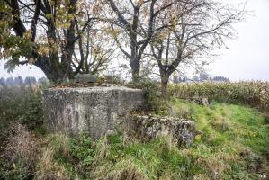 Ligne Maginot - TROIS-MAISONS NORD (OUVRAGE) - (Blockhaus pour canon) - 