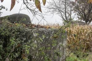 Ligne Maginot - TROIS-MAISONS NORD (OUVRAGE) - (Blockhaus pour canon) - 