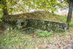 Ligne Maginot - TROIS-MAISONS CENTRE 2 - (Blockhaus pour canon) - 