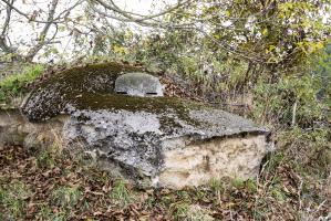 Ligne Maginot - TROIS-MAISONS SUD (OUVRAGE) - (Blockhaus pour canon) - 