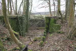 Ligne Maginot - WILLERHOF (BATTERIE DE) - (Position d'artillerie préparée) - Encuvement 1
Vue générale