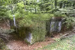 Ligne Maginot - GRAND KOHLBERG - (Abri) - Vue coté nord-est