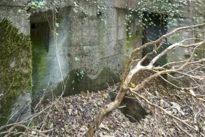 Ligne Maginot - GRAND KOHLBERG - (Abri) - Les entrées