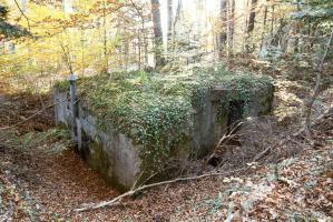 Ligne Maginot - GRAND KOHLBERG - (Abri) - Vue générale