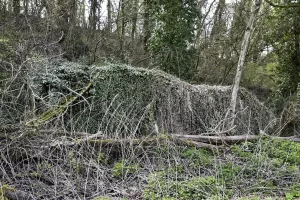 Ligne Maginot - B661 - BARTENHEIM NORD OUEST - (Blockhaus pour arme infanterie) - Coté Est