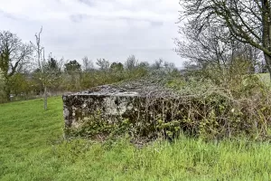 Ligne Maginot - BARTENHEIM OUEST - (Observatoire d'infanterie) - L'entrée sous les ronces