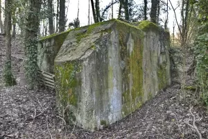 Ligne Maginot - ESCHENBACHGRABEN SUD - (Blockhaus pour arme infanterie) - Façade nord-est avec créneau FM