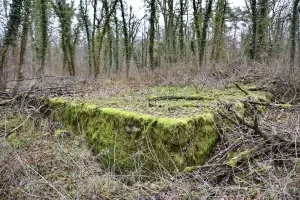 Ligne Maginot - SCHLAEGLE - (Abri) - Vue de l'abri coté Nord avec l'entrée au ras du sol