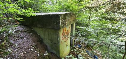 Ligne Maginot - COMBE BILLAUD - (Chambre de coupure) - Vue extérieure