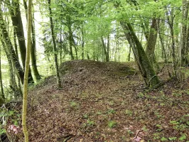 Ligne Maginot - F55 - LES TAVERNETTES 4 - HS110 - (Blockhaus pour arme infanterie) - L'ouvrage est en excellent état grâce à la mairie de Charvonnex qui a débroussaillé efficacement rendant l'ensemble accessible.