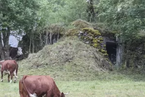 Ligne Maginot - BILLORDS CENTRE - (Blockhaus pour canon) - 