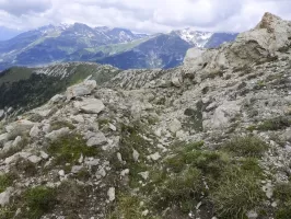 Ligne Maginot - COL DES ARCHETTES - (Abri) - Cuves à proximité