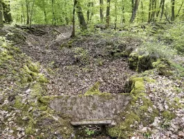 Ligne Maginot - WITZWALD 1 - (Cuve pour arme d'infanterie) - Vue extérieure avec le tranchée en arrière plan