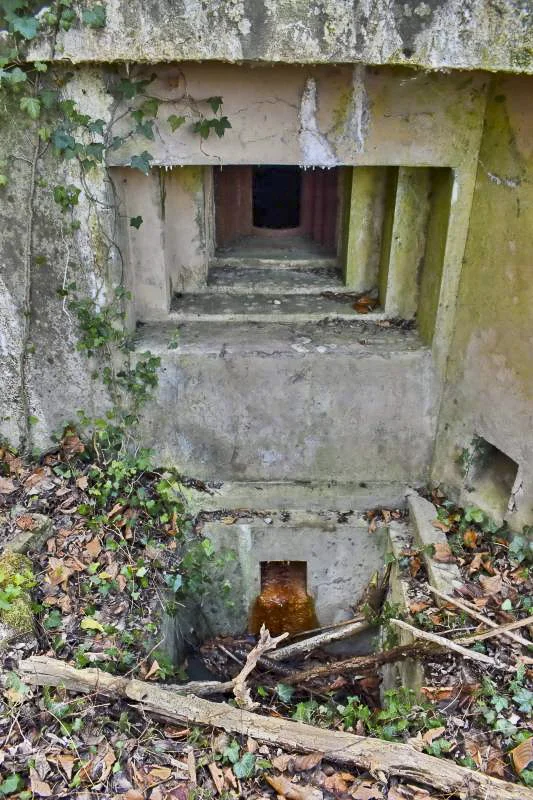 Ligne Maginot - PA DE SIERENTZ OUEST 1 - (Blockhaus pour canon) - Créneau mitrailleuse