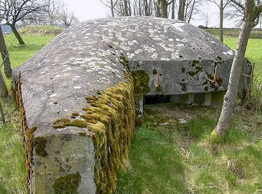 Ligne Maginot - TROIS-MAISONS CENTRE 1 - (Blockhaus pour canon) - 