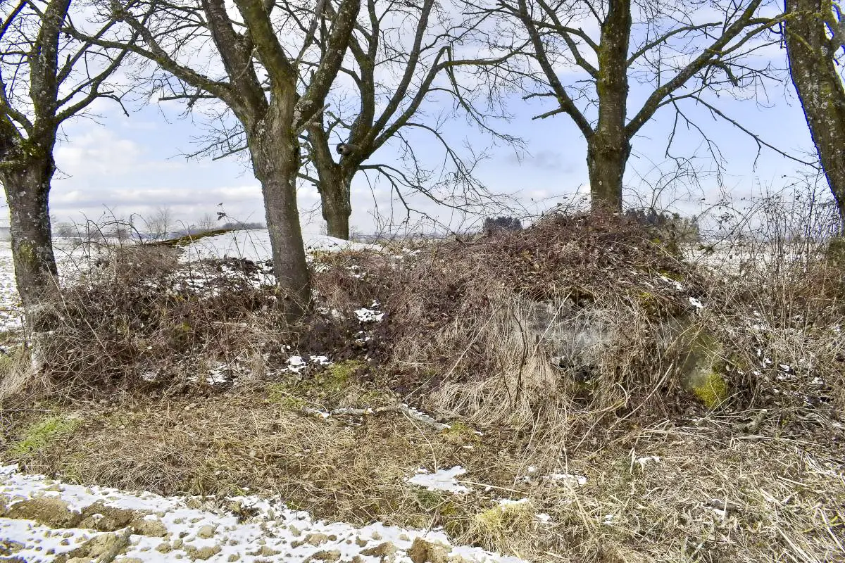 Ligne Maginot - TROIS-MAISONS NORD (OUVRAGE) - (Blockhaus pour canon) - 