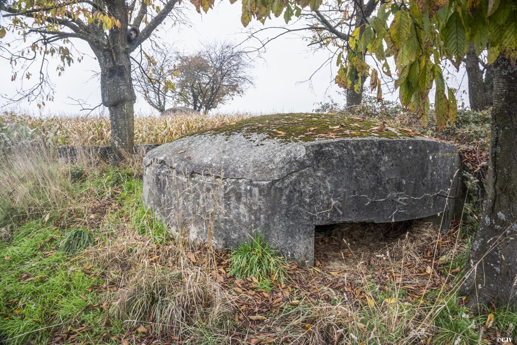 Ligne Maginot - TROIS-MAISONS NORD (OUVRAGE) - (Blockhaus pour canon) - 