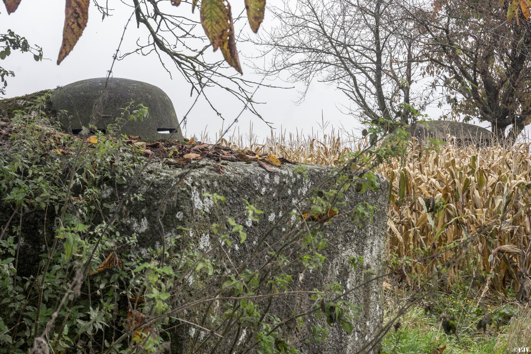 Ligne Maginot - TROIS-MAISONS NORD (OUVRAGE) - (Blockhaus pour canon) - 